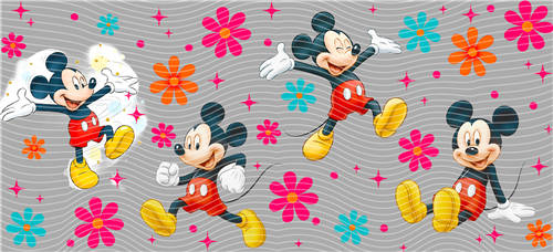 16oz Disney-D 2762
